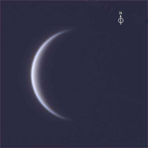 真昼のビーナス-Ⅱ