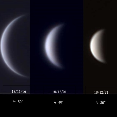 恥ずかしがリやのVenus