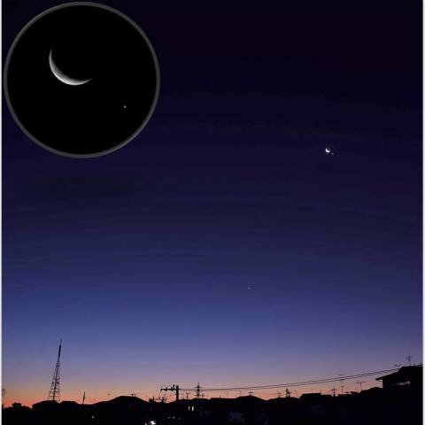 女神・美の競演