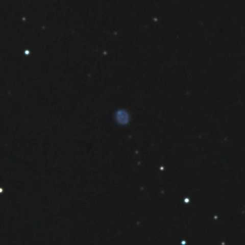 青のドーナツ　Ori