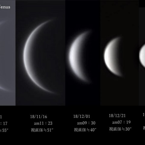 慎ましい昼のVenus