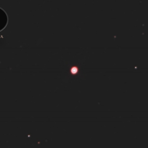 何これ！⭕真ん丸人工灯❓