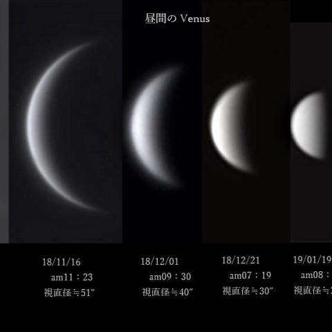 昼間のVenusふくよかに…