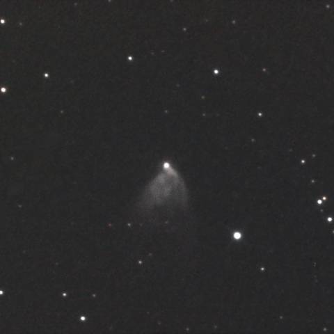 釈迦如来（NGC2261）に八部衆