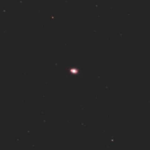 小っちゃ！キュートな妖精