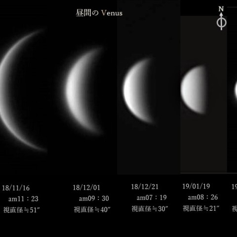 昼間のVenus　追っかけ5ヶ月