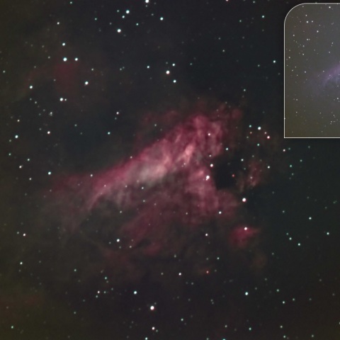 街中のM17　白鳥からザリガニ