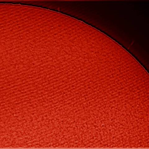 事例：干渉ニュートンリング