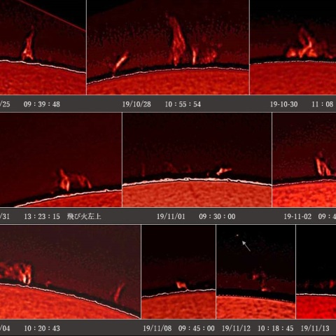 プロミネンス　時々のビックワン集