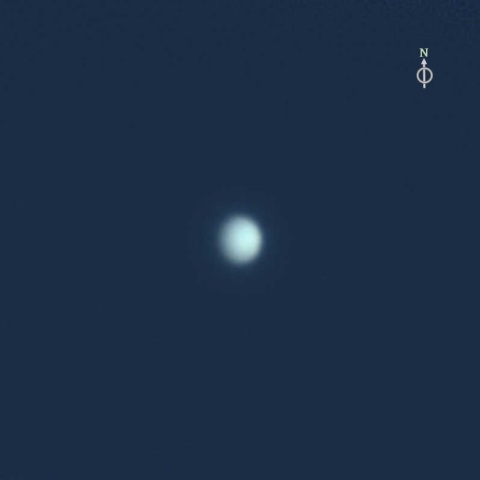 昼間のVenus　輝面比0.91