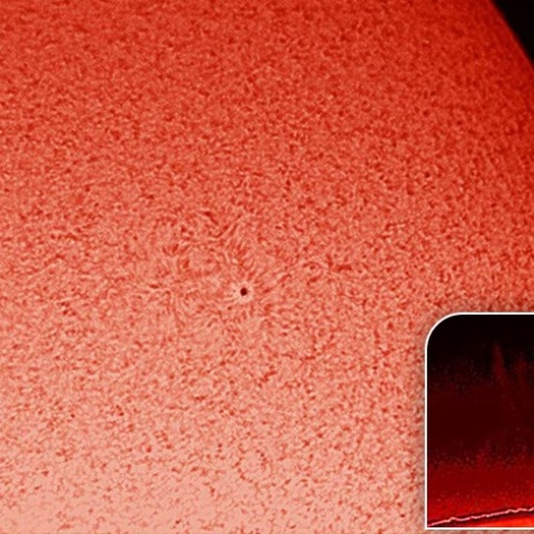 Hα：黒点とプロミネンス 1/29