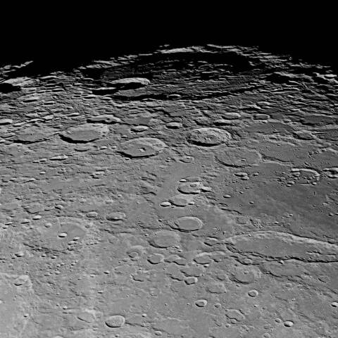 バイイ？初めまして！