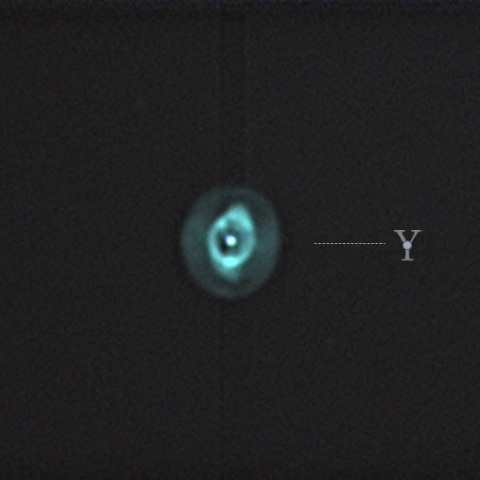 淡くかすかにYの字