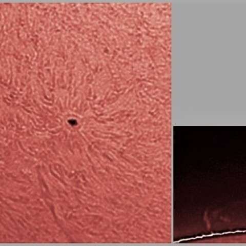 黒点2785・6とプロミネンス