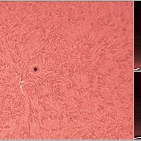 黒点2790とプロミネンス 12/07