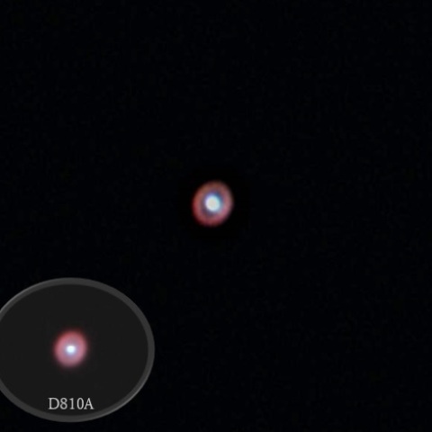 つぶらな瞳からリングになったIC418