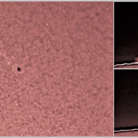 黒点No2804とプロミネンス　2/23