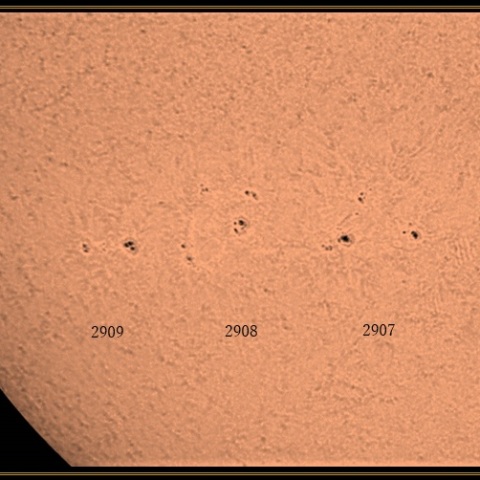 並んでお散歩、黒点12/18