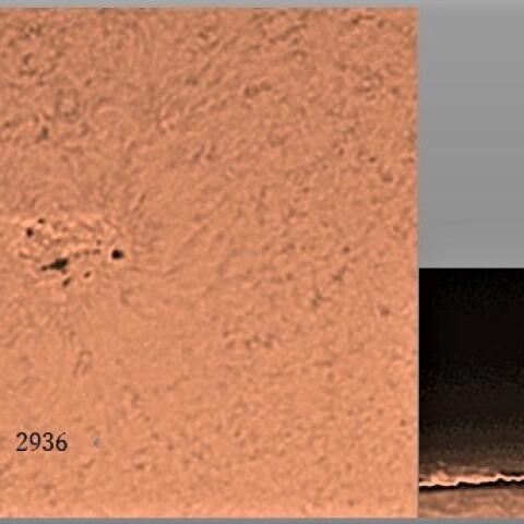黒点2936とプロミネンス　01/28
