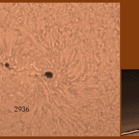 黒点2936とプロミネンス　01/31