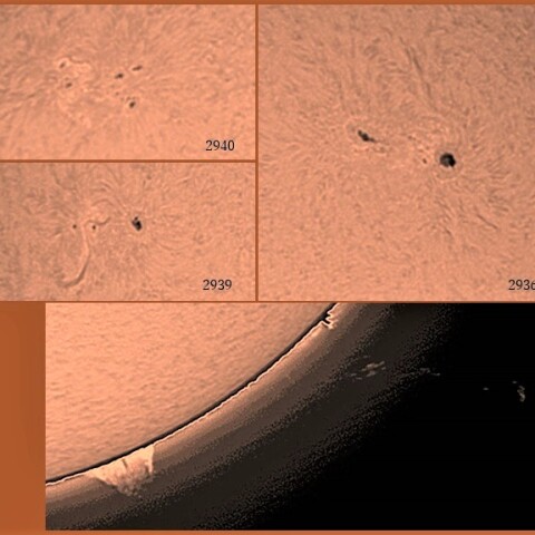 黒点群とプロミネンス　02/02