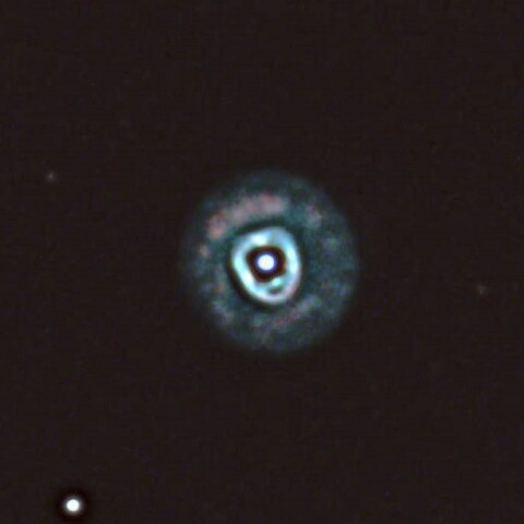 エスキモー星雲　Ⅱ