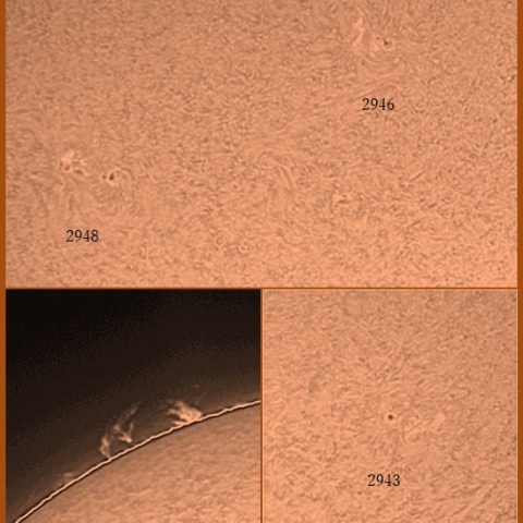 黒点群とプロミネンス　02/16