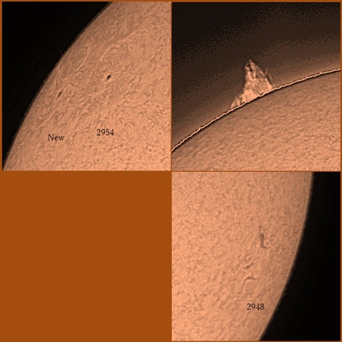 黒点群とプロミネンス　2/22