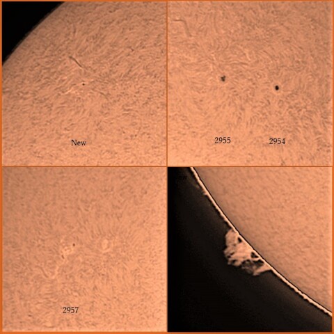 黒点群とプロミネンス　3/1