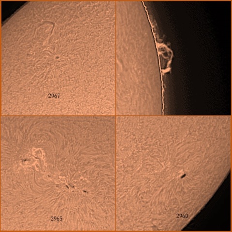 黒点群とプロミネンス　3/14
