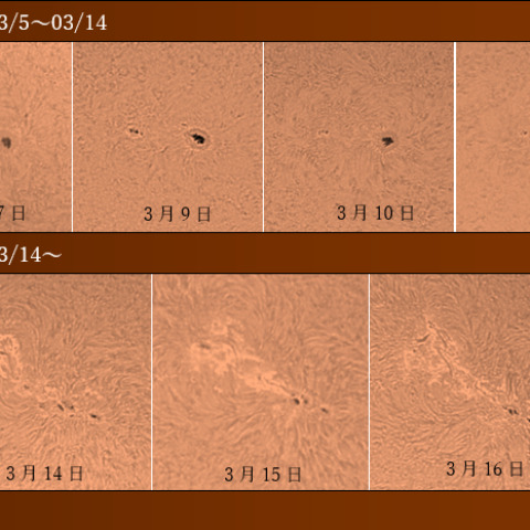 黒点群No2960・No2965推移💦