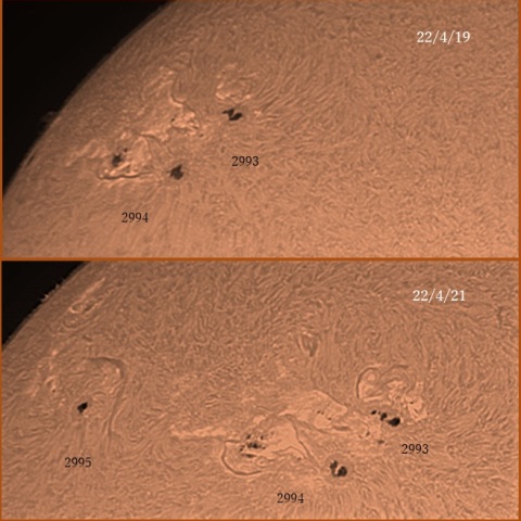 No2993~4黒点群三日の変容