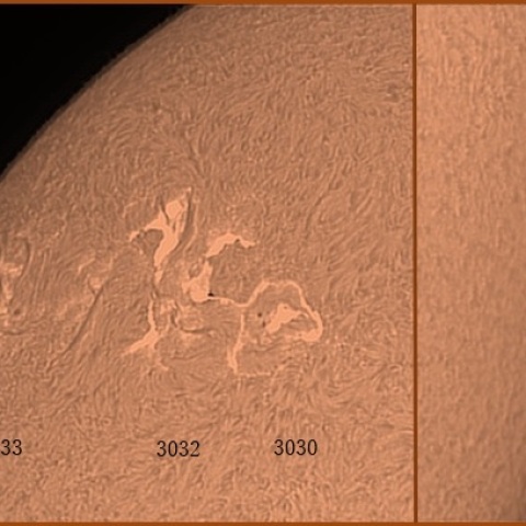 黒点群とプロミネンス　06/13