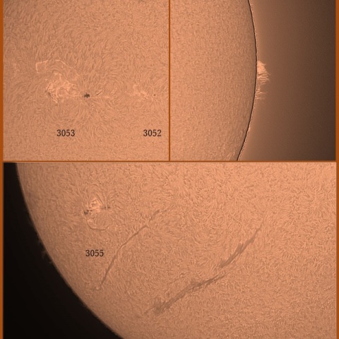 黒点群とプロミネンス　07/09　