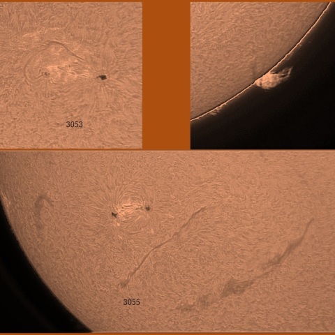 黒点群とプロミネンス　07/10　