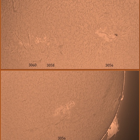 黒点群とプロミネンス　7/18