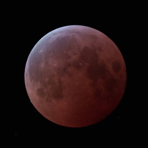 皆既月食中の天王星食　潜入寸前　11/08