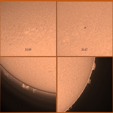 黒点群とプロミネンス　11/22