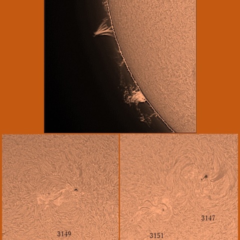 黒点群とプロミネンス　11/24