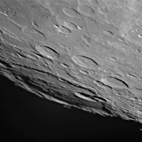 でっかい！ベイリー　1/5