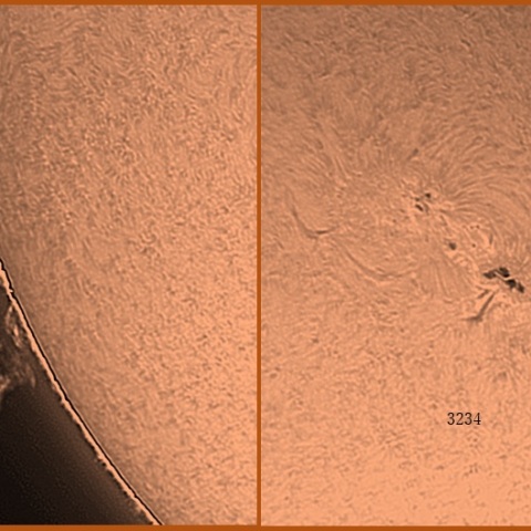 黒点群とプロミネンス　2/28