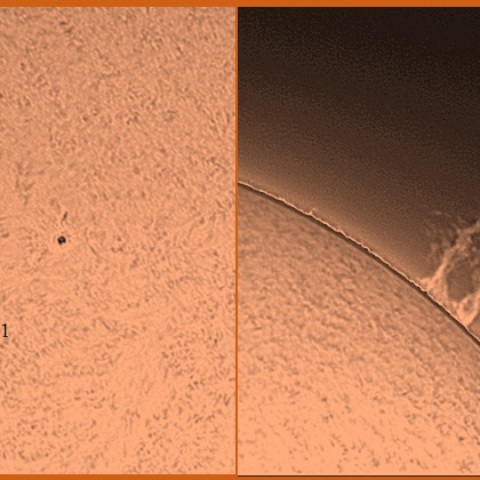 黒点群とプロミネンス　03/16