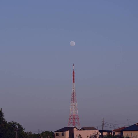 パールタワー・studio月うさぎ眺望