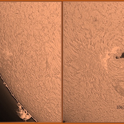黒点群とプロミネンス　07/11