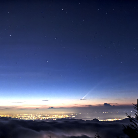 10/2の紫金山・アトラス彗星
