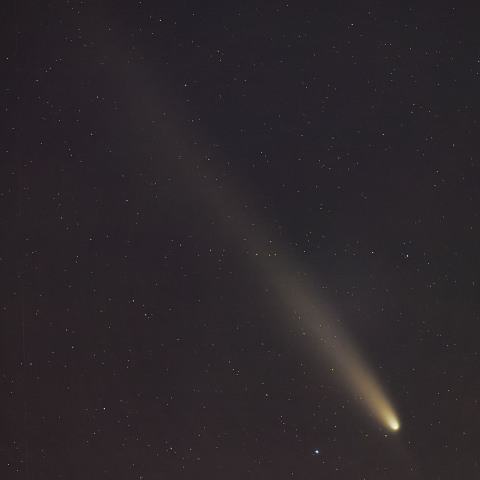 10/20の紫金山・アトラス彗星