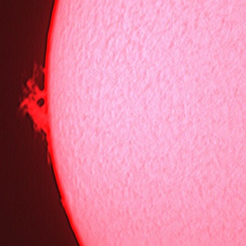 11/3のプロミネンス