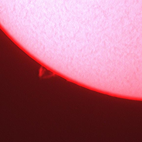 11/4のプロミネンス