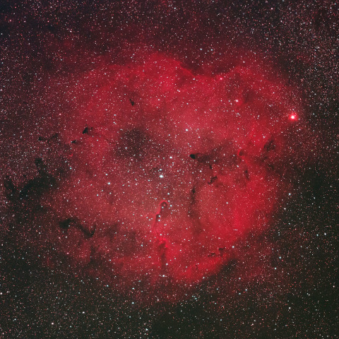 IC1396