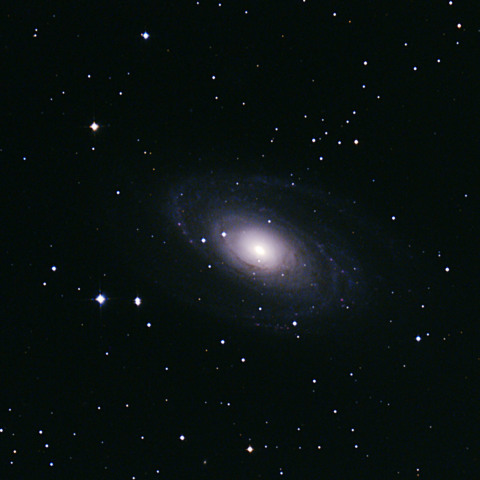 M81